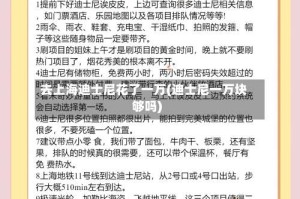 去上海迪士尼花了一万(迪士尼一万块够吗)