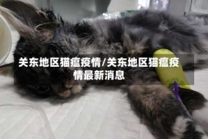 关东地区猫瘟疫情/关东地区猫瘟疫情最新消息