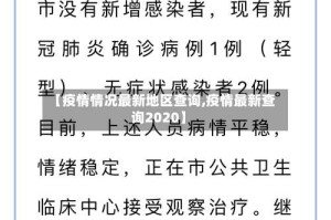 【疫情情况最新地区查询,疫情最新查询2020】