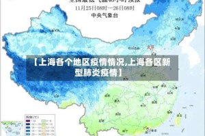 【上海各个地区疫情情况,上海各区新型肺炎疫情】