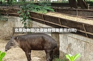 北京动物园(北京动物园需要预约吗)