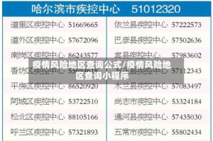 疫情风险地区查询公式/疫情风险地区查询小程序