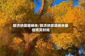 额济纳旗胡杨林/额济纳旗胡杨林最佳观赏时间