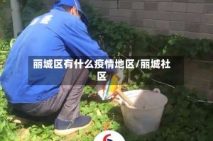 丽城区有什么疫情地区/丽城社区