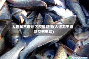 大连龙王塘地区疫情管理(大连龙王塘防疫站电话)