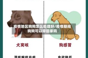 疫情地区狗狗怎么处理好/疫情期间狗狗可以带回家吗