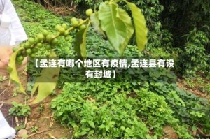 【孟连有哪个地区有疫情,孟连县有没有封城】