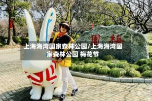 上海海湾国家森林公园/上海海湾国家森林公园 梅花节