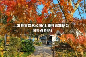 上海共青森林公园(上海共青森林公园景点介绍)