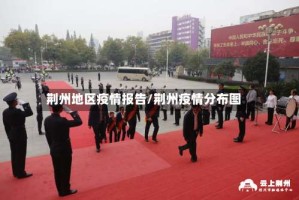 荆州地区疫情报告/荆州疫情分布图