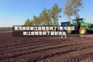 黑河地区嫩江疫情怎样了/黑河地区嫩江疫情怎样了最新消息