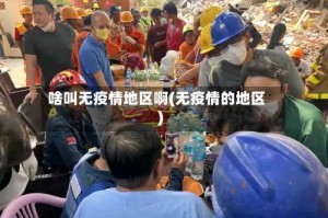 啥叫无疫情地区啊(无疫情的地区)