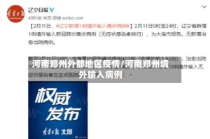 河南郑州外部地区疫情/河南郑州境外输入病例