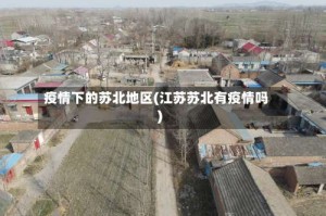 疫情下的苏北地区(江苏苏北有疫情吗)