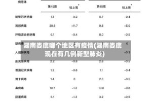 湖南娄底哪个地区有疫情(湖南娄底现在有几例新型肺炎)