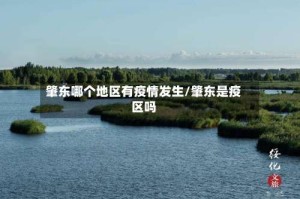 肇东哪个地区有疫情发生/肇东是疫区吗