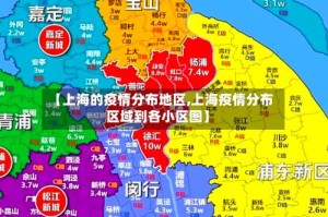 【上海的疫情分布地区,上海疫情分布区域到各小区图】
