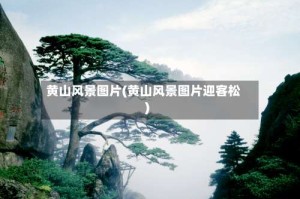 黄山风景图片(黄山风景图片迎客松)