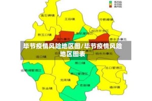 毕节疫情风险地区图/毕节疫情风险地区图表