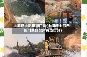 上海迪士尼乐园门票(上海迪士尼乐园门票包含所有项目吗)