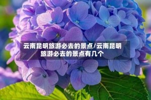 云南昆明旅游必去的景点/云南昆明旅游必去的景点有几个