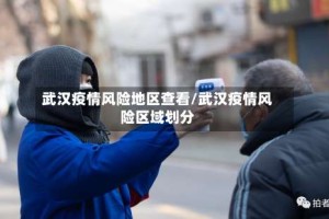 武汉疫情风险地区查看/武汉疫情风险区域划分