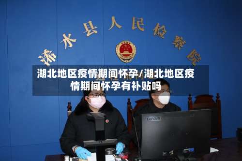 湖北地区疫情期间怀孕/湖北地区疫情期间怀孕有补贴吗-第3张图片