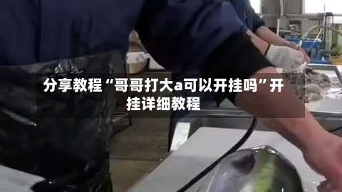 分享教程“哥哥打大a可以开挂吗”开挂详细教程-第1张图片