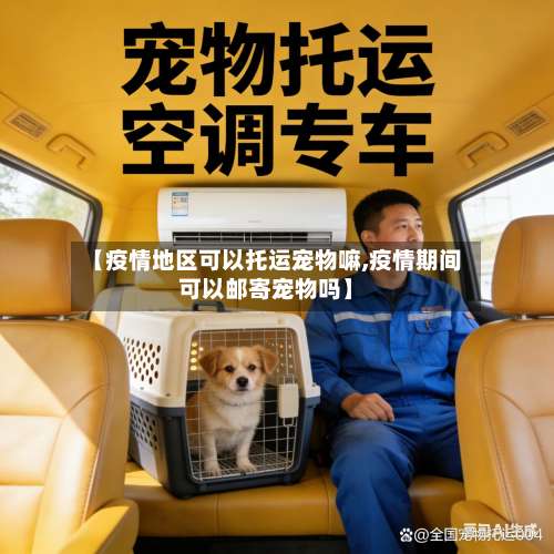 【疫情地区可以托运宠物嘛,疫情期间可以邮寄宠物吗】-第2张图片