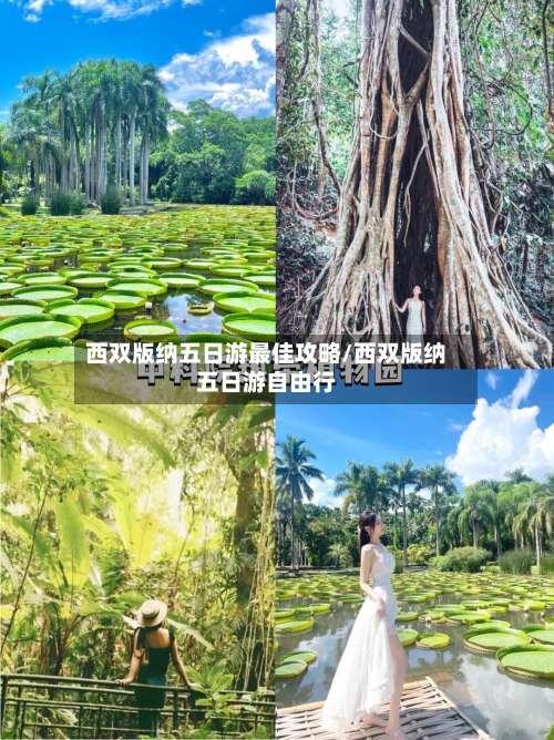 西双版纳五日游最佳攻略/西双版纳五日游自由行-第1张图片