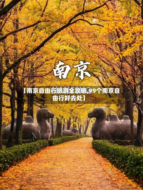 【南京自由行旅游全攻略,99个南京自由行好去处】-第1张图片