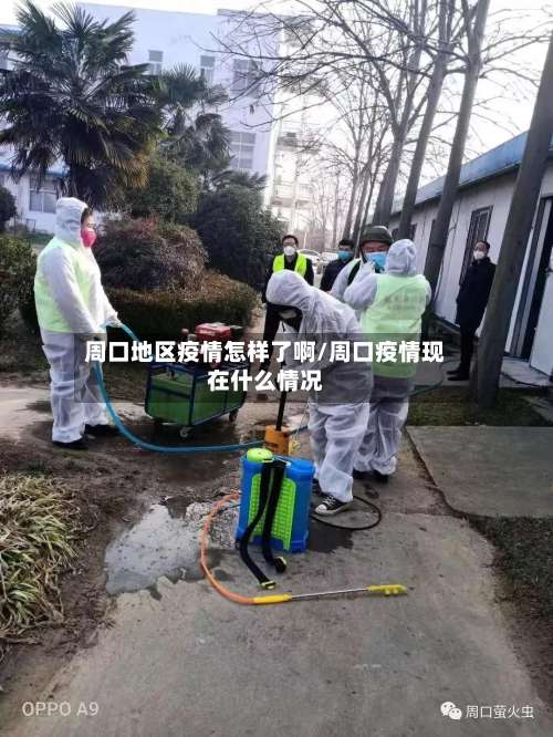 周口地区疫情怎样了啊/周口疫情现在什么情况-第2张图片