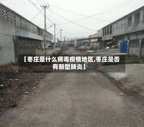 【枣庄是什么病毒疫情地区,枣庄是否有新型肺炎】-第2张图片