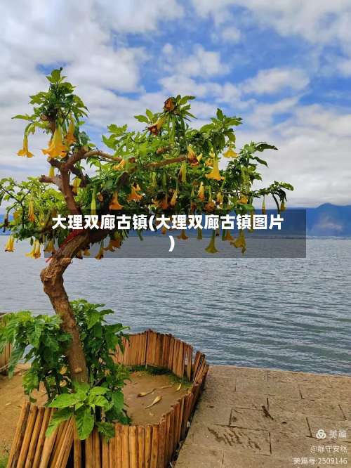 大理双廊古镇(大理双廊古镇图片)-第1张图片