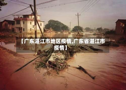 【广东湛江市地区疫情,广东省湛江市疫情】-第1张图片