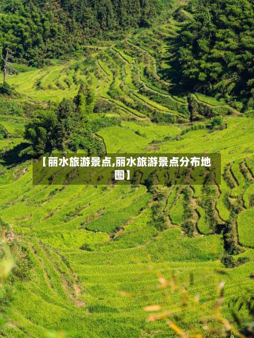 【丽水旅游景点,丽水旅游景点分布地图】-第1张图片