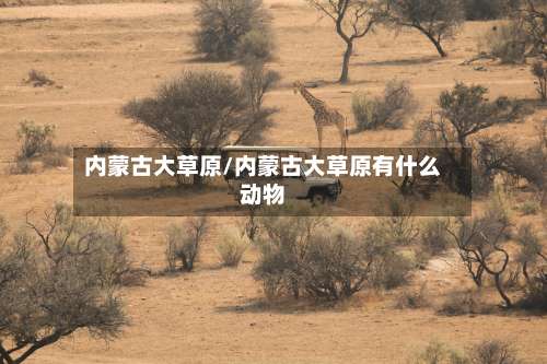 内蒙古大草原/内蒙古大草原有什么动物-第1张图片