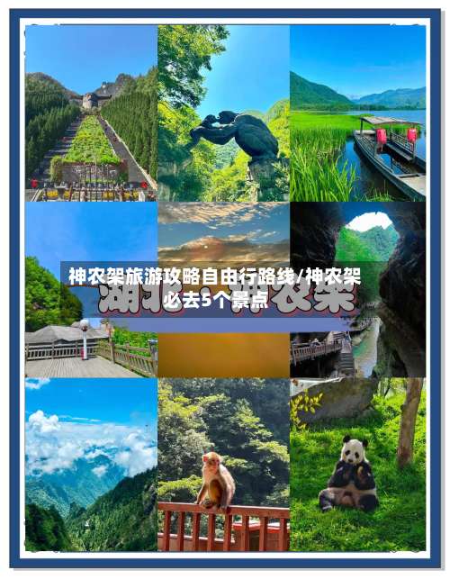 神农架旅游攻略自由行路线/神农架必去5个景点-第1张图片