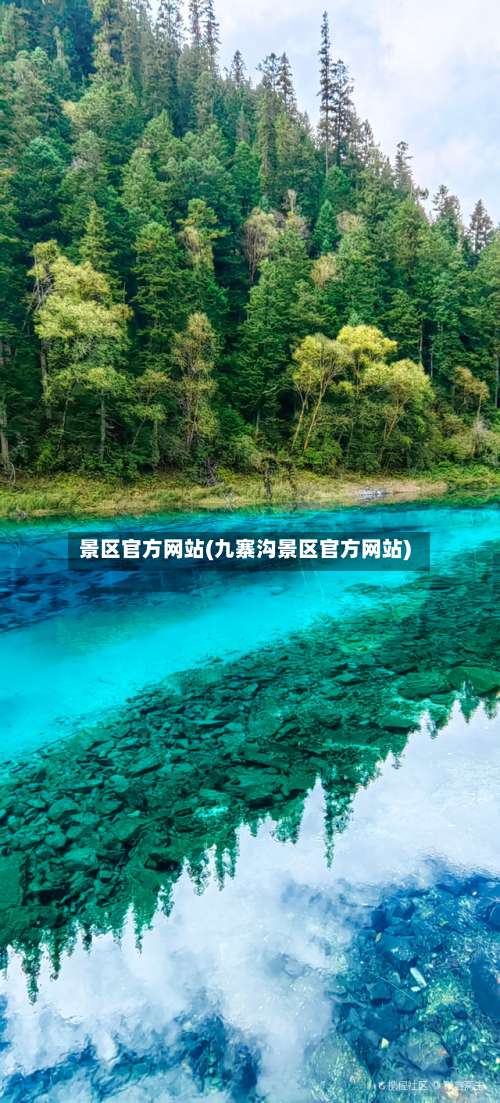景区官方网站(九寨沟景区官方网站)-第1张图片