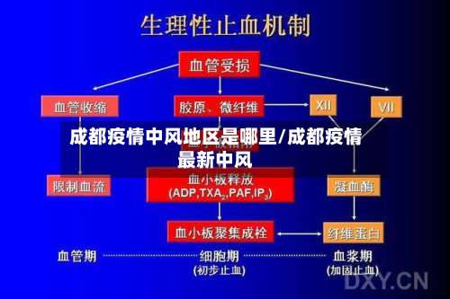 成都疫情中风地区是哪里/成都疫情最新中风-第1张图片