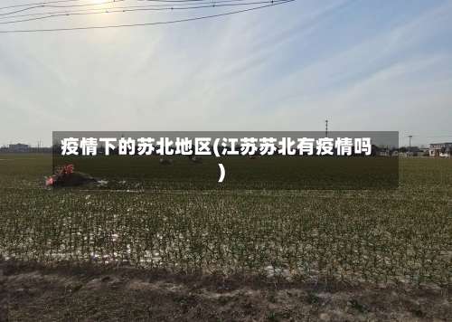 疫情下的苏北地区(江苏苏北有疫情吗)-第3张图片