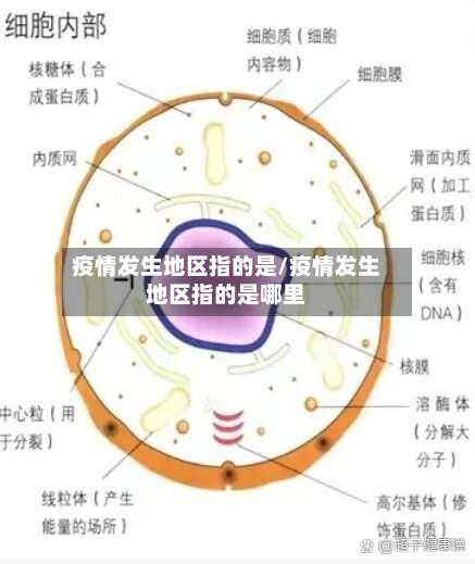 疫情发生地区指的是/疫情发生地区指的是哪里-第1张图片