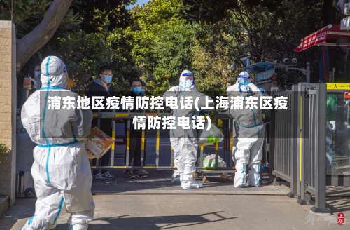 浦东地区疫情防控电话(上海浦东区疫情防控电话)-第2张图片