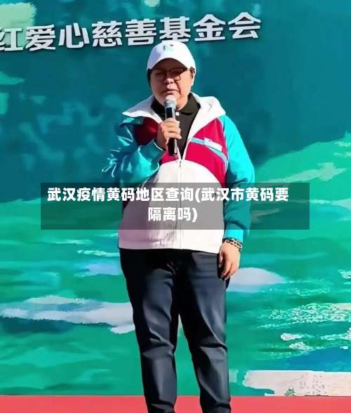 武汉疫情黄码地区查询(武汉市黄码要隔离吗)-第2张图片