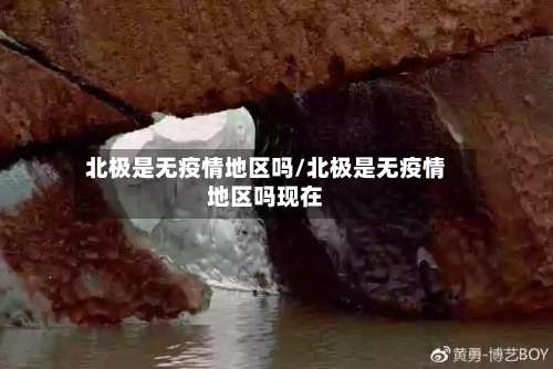 北极是无疫情地区吗/北极是无疫情地区吗现在-第2张图片