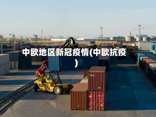 中欧地区新冠疫情(中欧抗疫)-第2张图片