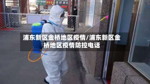 浦东新区金桥地区疫情/浦东新区金桥地区疫情防控电话-第2张图片