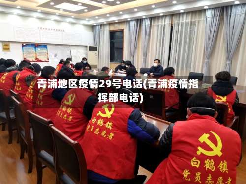 青浦地区疫情29号电话(青浦疫情指挥部电话)-第2张图片