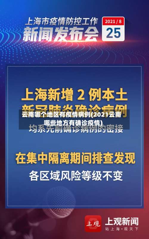 云南哪个地区有疫情病例(2021云南哪些地方有确诊疫情)-第2张图片