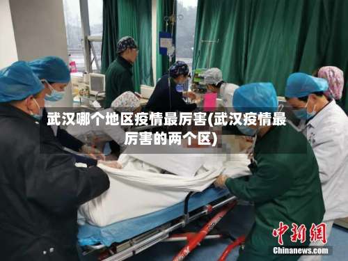 武汉哪个地区疫情最厉害(武汉疫情最厉害的两个区)-第1张图片